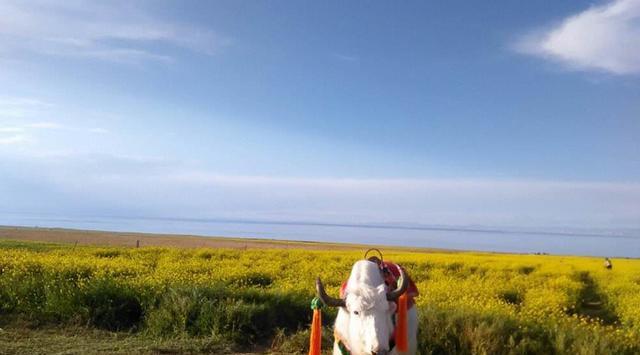 走遍大西北之西北七日大环线最经典玩法详解(第一天)!-大西北环线7月穿什么衣服