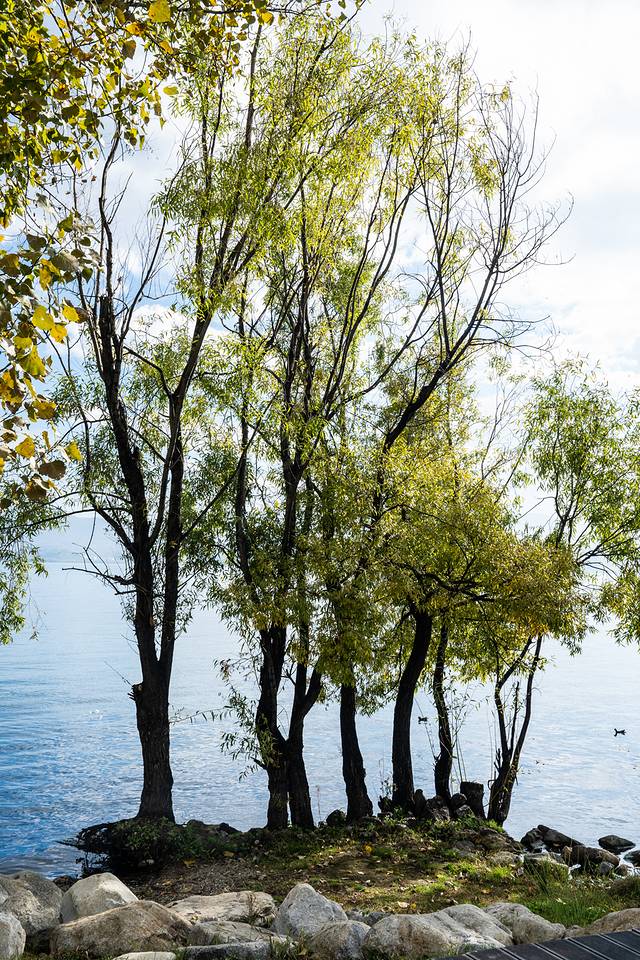 这样的大理你见过吗?五天四晚看不一样的大理-大理四日游最佳方案