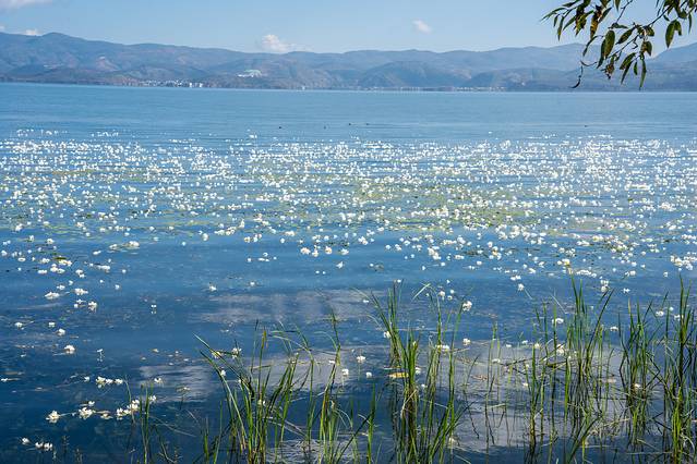 这样的大理你见过吗?五天四晚看不一样的大理-大理四日游最佳方案