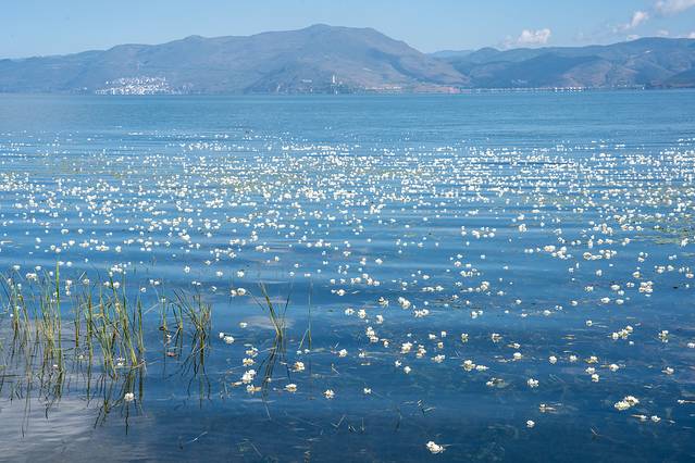 这样的大理你见过吗?五天四晚看不一样的大理-大理四日游最佳方案