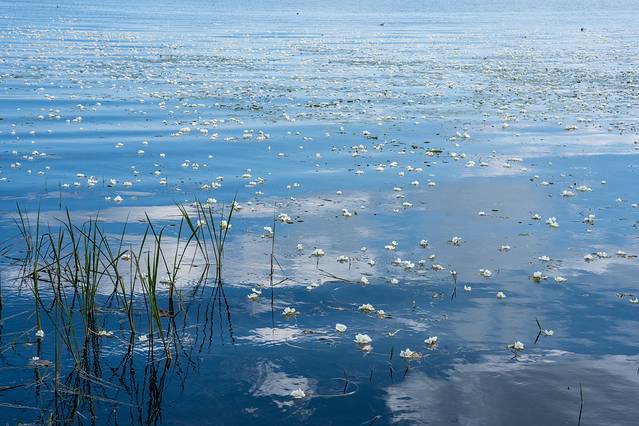 这样的大理你见过吗?五天四晚看不一样的大理-大理四日游最佳方案