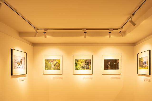 这样的大理你见过吗?五天四晚看不一样的大理-大理四日游最佳方案