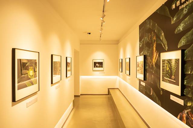 这样的大理你见过吗?五天四晚看不一样的大理-大理四日游最佳方案