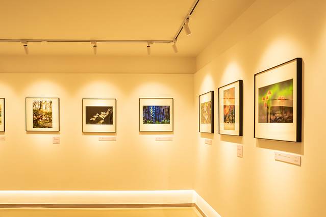 这样的大理你见过吗?五天四晚看不一样的大理-大理四日游最佳方案