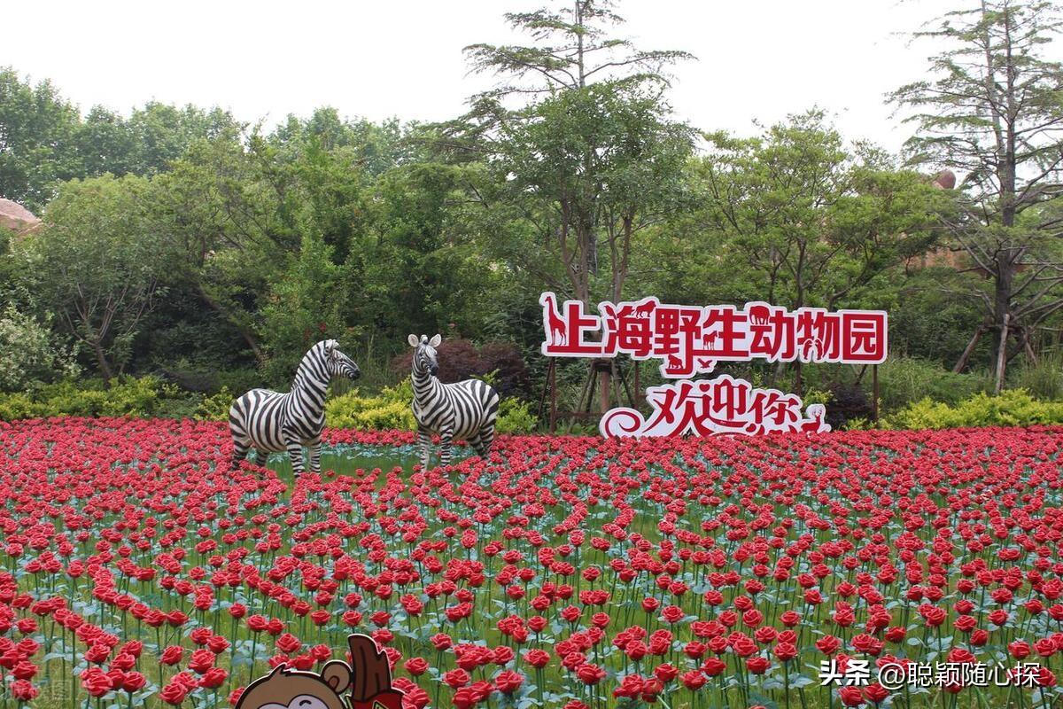 上海旅游必去的十大热门景点,你去过几个?-上海十大旅游景点推荐