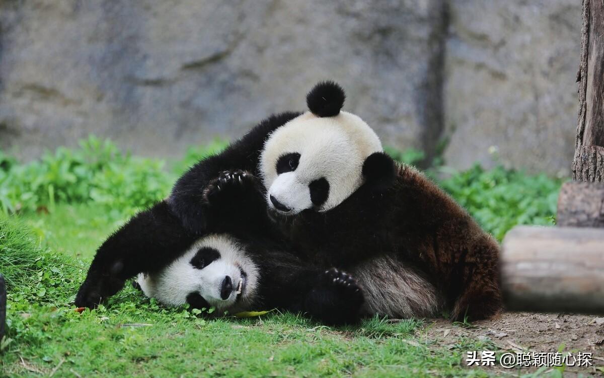 上海旅游必去的十大热门景点,你去过几个?-上海十大旅游景点推荐