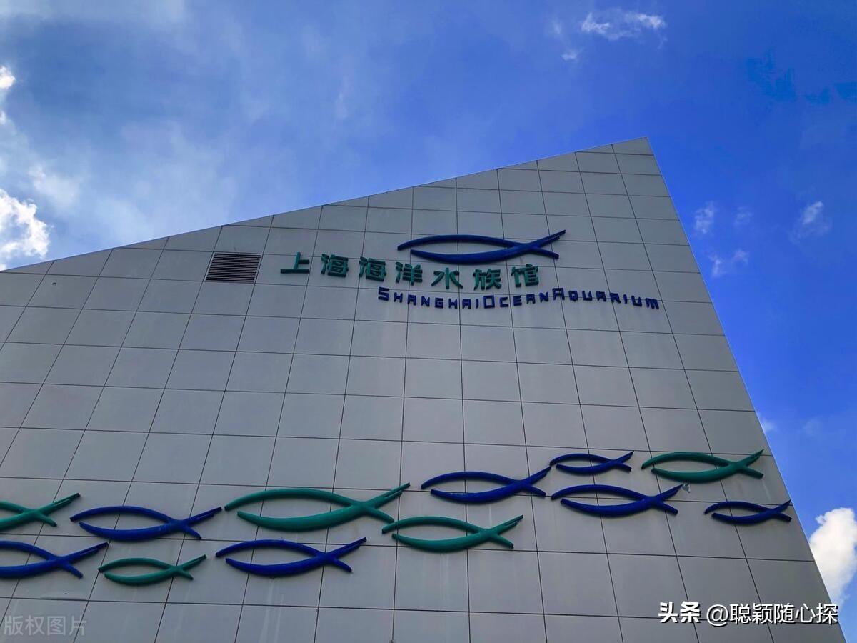 上海旅游必去的十大热门景点,你去过几个?-上海十大旅游景点推荐