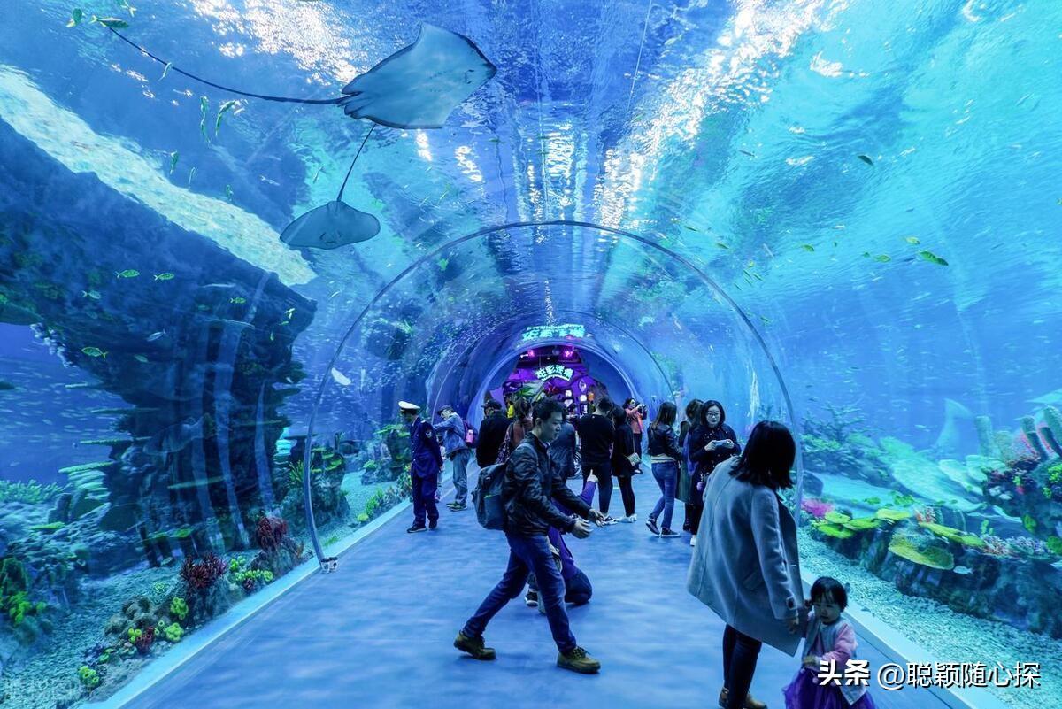 上海旅游必去的十大热门景点,你去过几个?-上海十大旅游景点推荐