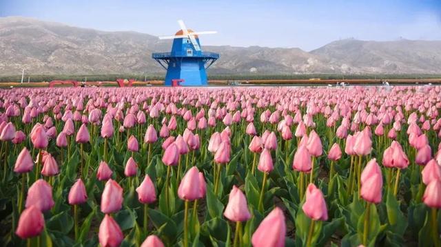 五一来个深度游!这份内蒙古旅行攻略请收好-内蒙古旅游最佳路线图