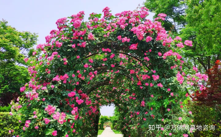 浦东公墓/浦东墓地哪家好?-上海浦东公墓地址一览表查询