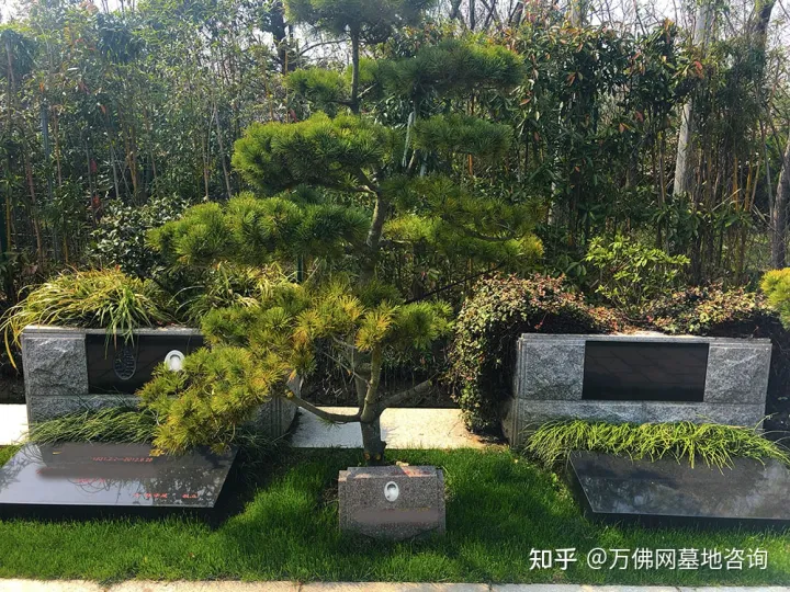 浦东公墓/浦东墓地哪家好?-上海浦东公墓地址一览表查询