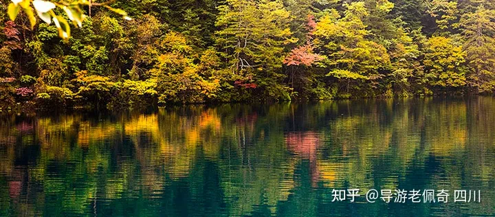 九寨沟是一个怎样的地方?-九寨沟是什么样子的?