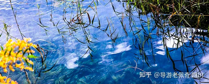 九寨沟是一个怎样的地方?-九寨沟是什么样子的?