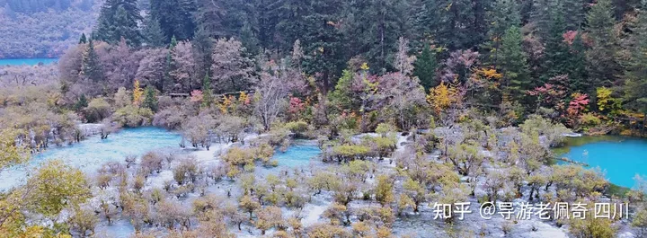 九寨沟是一个怎样的地方?-九寨沟是什么样子的?