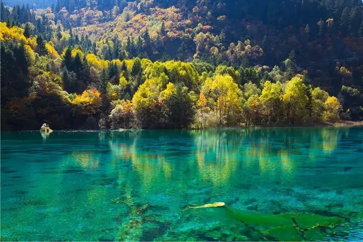 四川五一假期热门景点 九寨沟旅游攻略 低音号免费语音导游-九寨沟音乐节门票