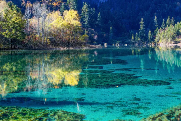 四川五一假期热门景点 九寨沟旅游攻略 低音号免费语音导游-九寨沟音乐节门票