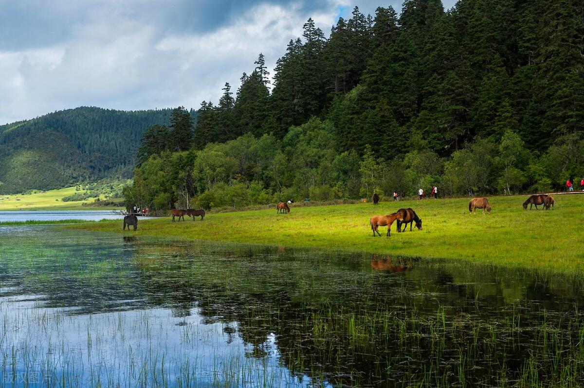 香格里拉最好玩的10大景点,惊艳绝美,玩遍人间天堂,不虚此行!-香格里拉必玩的景点