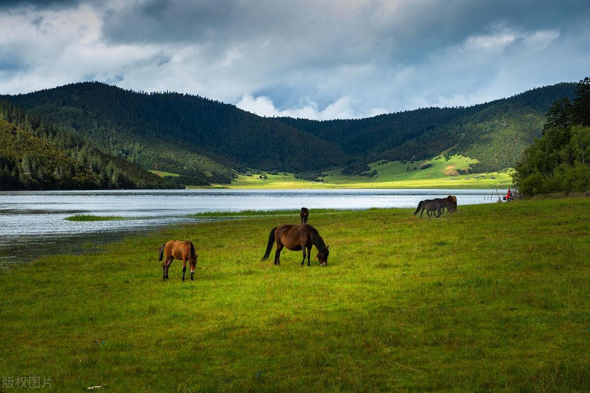 香格里拉最好玩的10大景点,惊艳绝美,玩遍人间天堂,不虚此行!-香格里拉必玩的景点