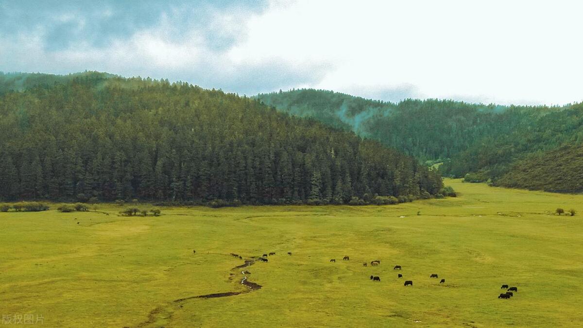 香格里拉最好玩的10大景点,惊艳绝美,玩遍人间天堂,不虚此行!-香格里拉必玩的景点