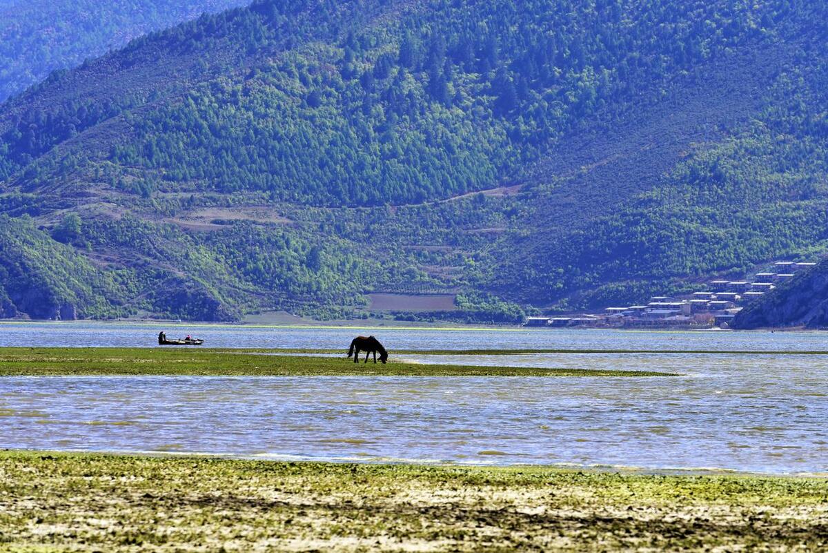 香格里拉最好玩的10大景点,惊艳绝美,玩遍人间天堂,不虚此行!-香格里拉必玩的景点