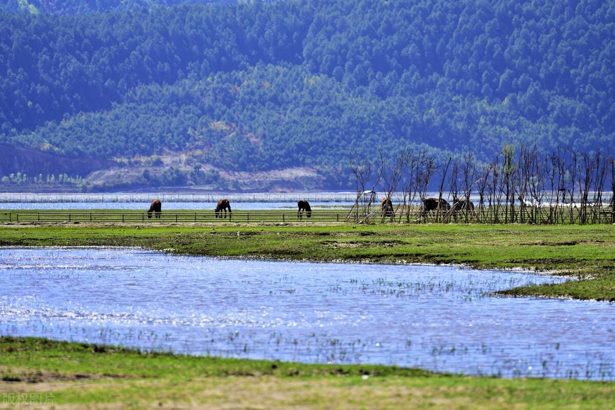 香格里拉最好玩的10大景点,惊艳绝美,玩遍人间天堂,不虚此行!-香格里拉必玩的景点