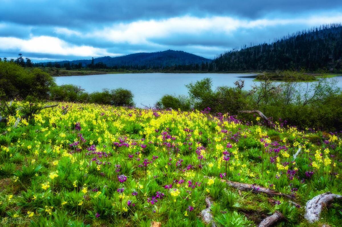 香格里拉最好玩的10大景点,惊艳绝美,玩遍人间天堂,不虚此行!-香格里拉必玩的景点