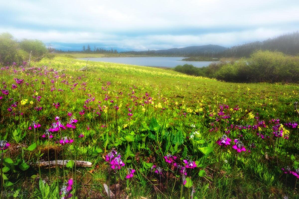 香格里拉最好玩的10大景点,惊艳绝美,玩遍人间天堂,不虚此行!-香格里拉必玩的景点