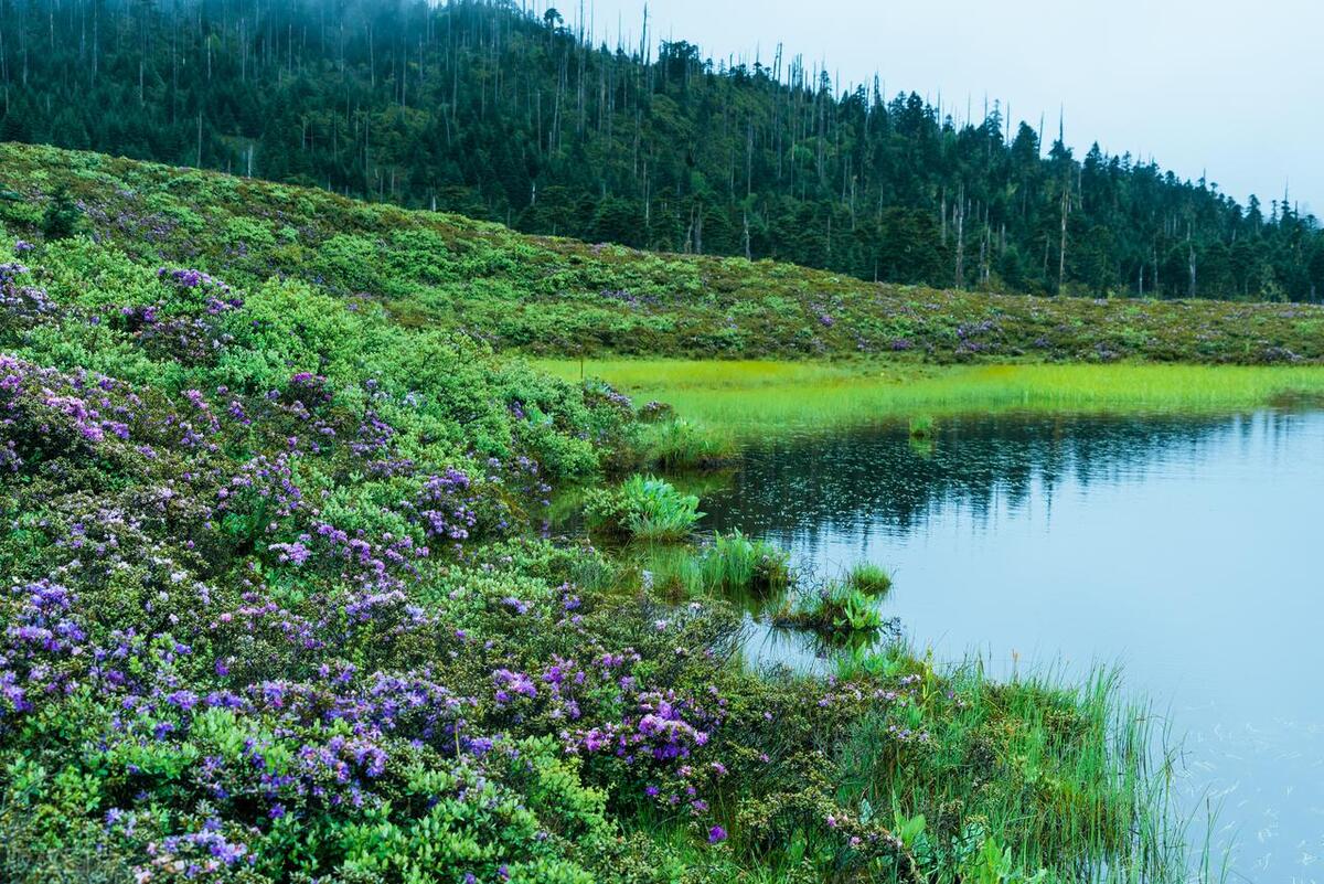 香格里拉最好玩的10大景点,惊艳绝美,玩遍人间天堂,不虚此行!-香格里拉必玩的景点