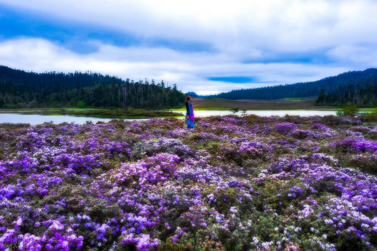 香格里拉最好玩的10大景点,惊艳绝美,玩遍人间天堂,不虚此行!-香格里拉必玩的景点