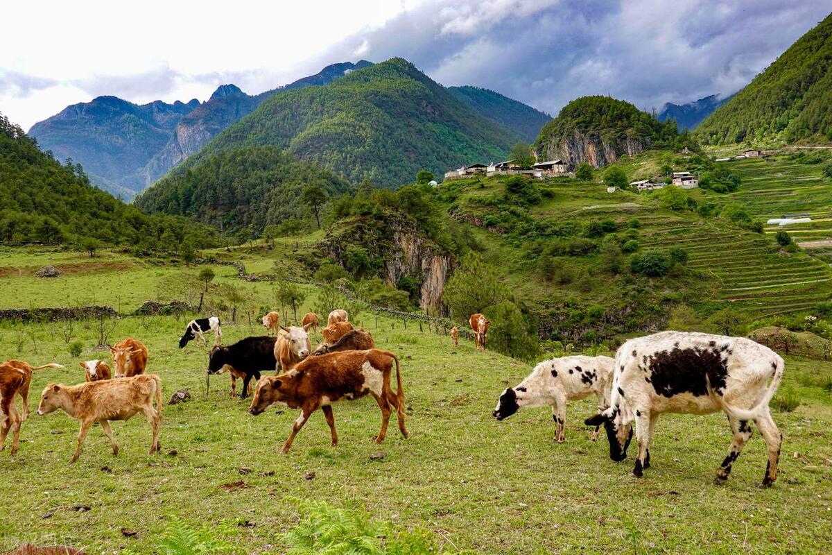 香格里拉最好玩的10大景点,惊艳绝美,玩遍人间天堂,不虚此行!-香格里拉必玩的景点