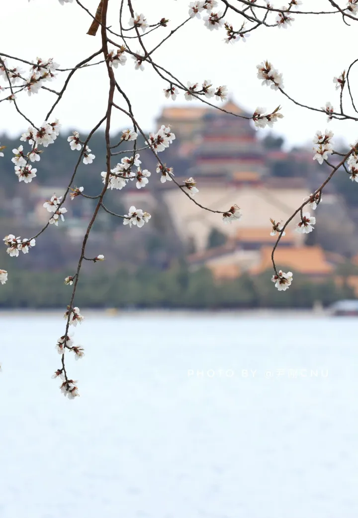 颐和园,皇家园林,北京旅游必去景点之一-颐和园皇家园林布局特点