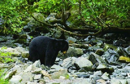 贵州梵净山有新发现-贵州梵净山的具体位置