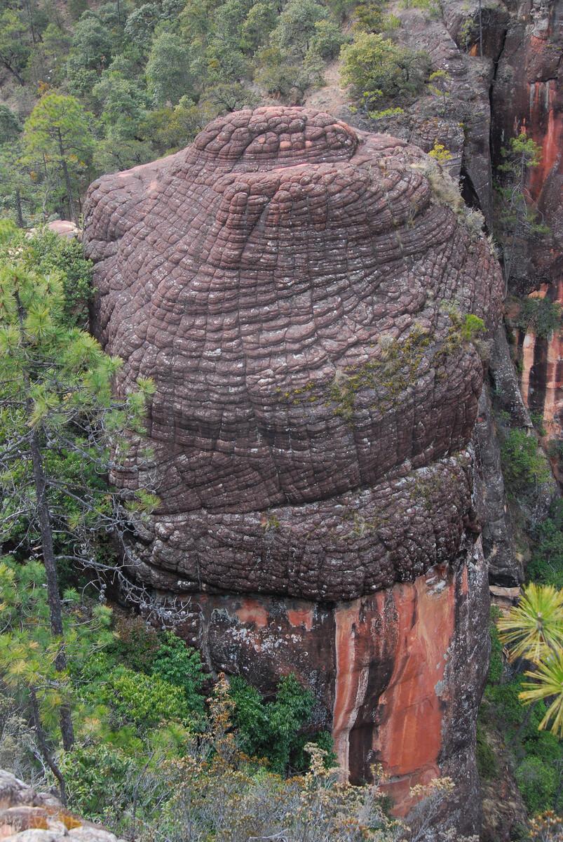 想去丽江却不知道怎么玩?需要安排多少天?这篇攻略告诉你-丽江旅游去哪里