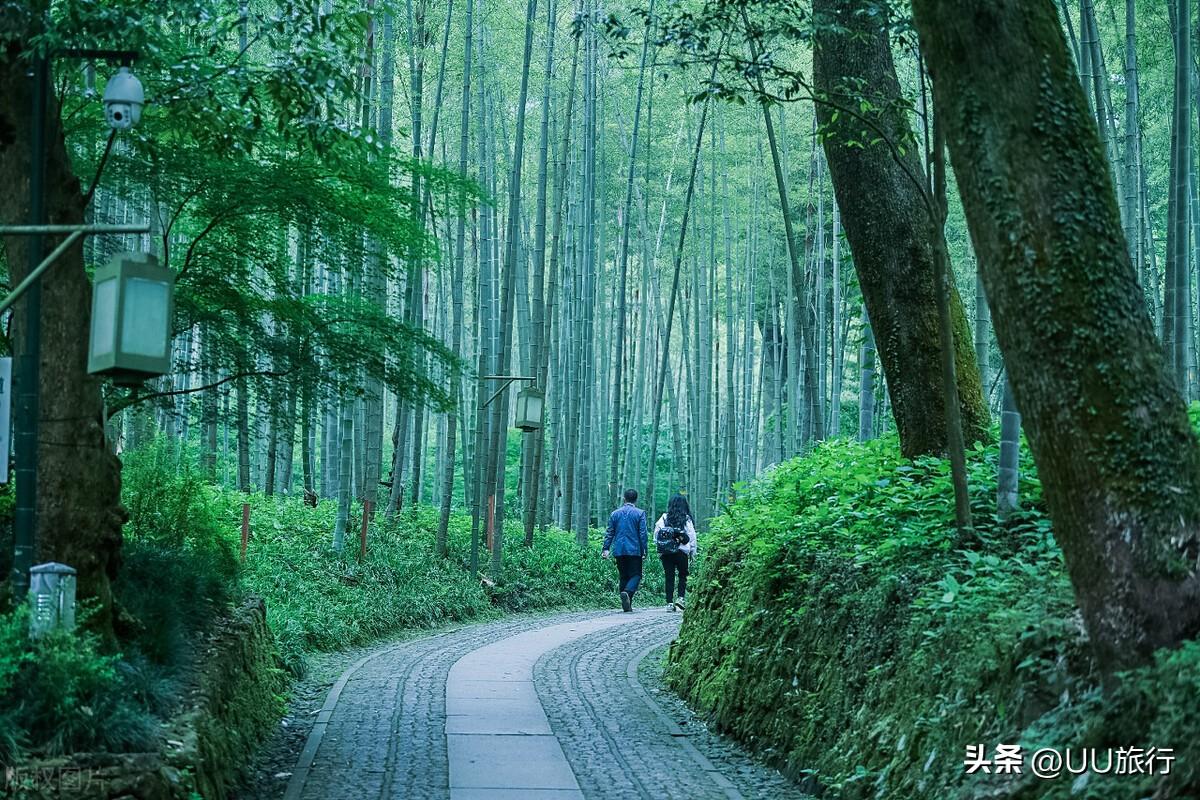 杭州旅行最值得打卡的10个景区,你打卡了几个?-杭州打卡景点