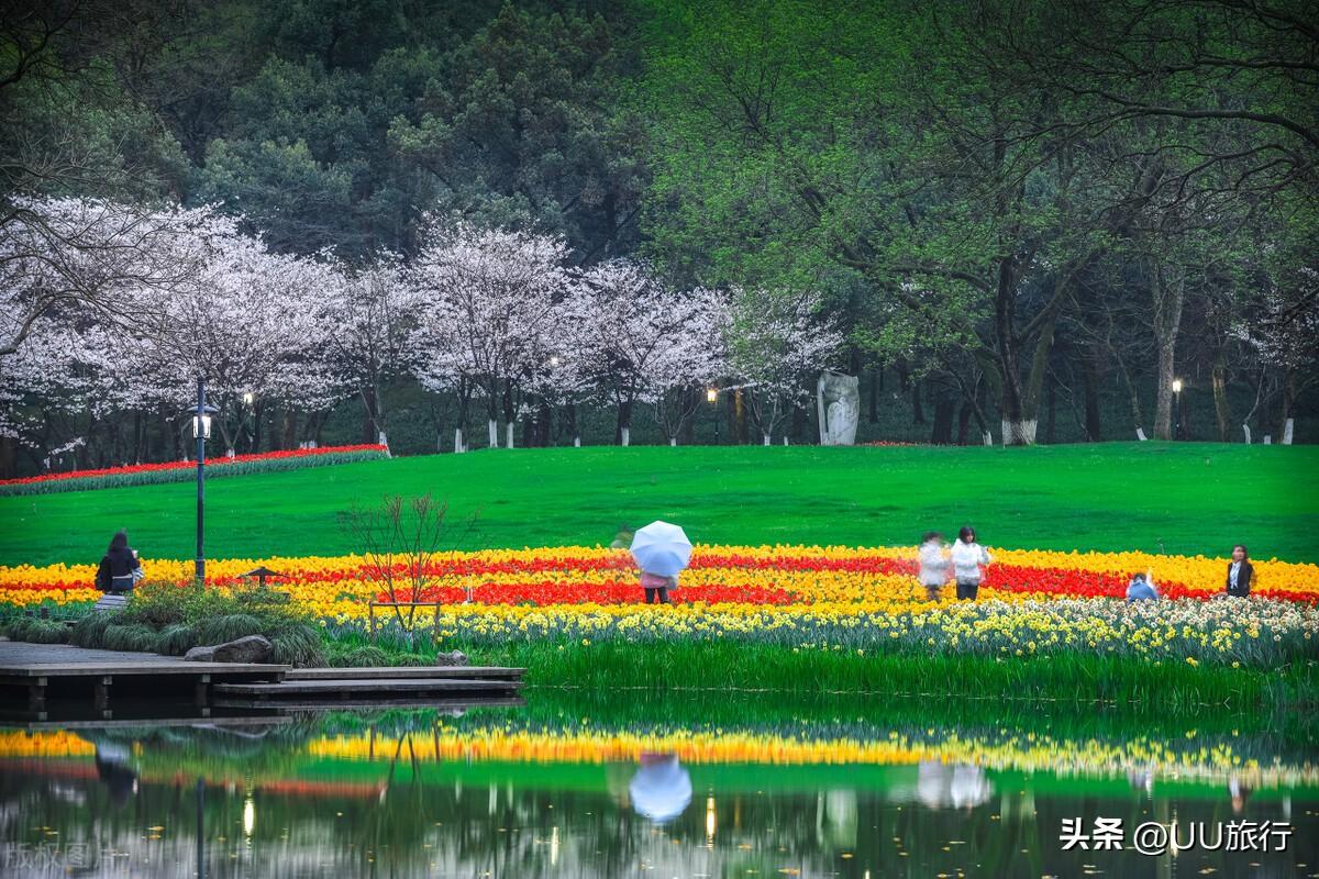 杭州旅行最值得打卡的10个景区,你打卡了几个?-杭州打卡景点