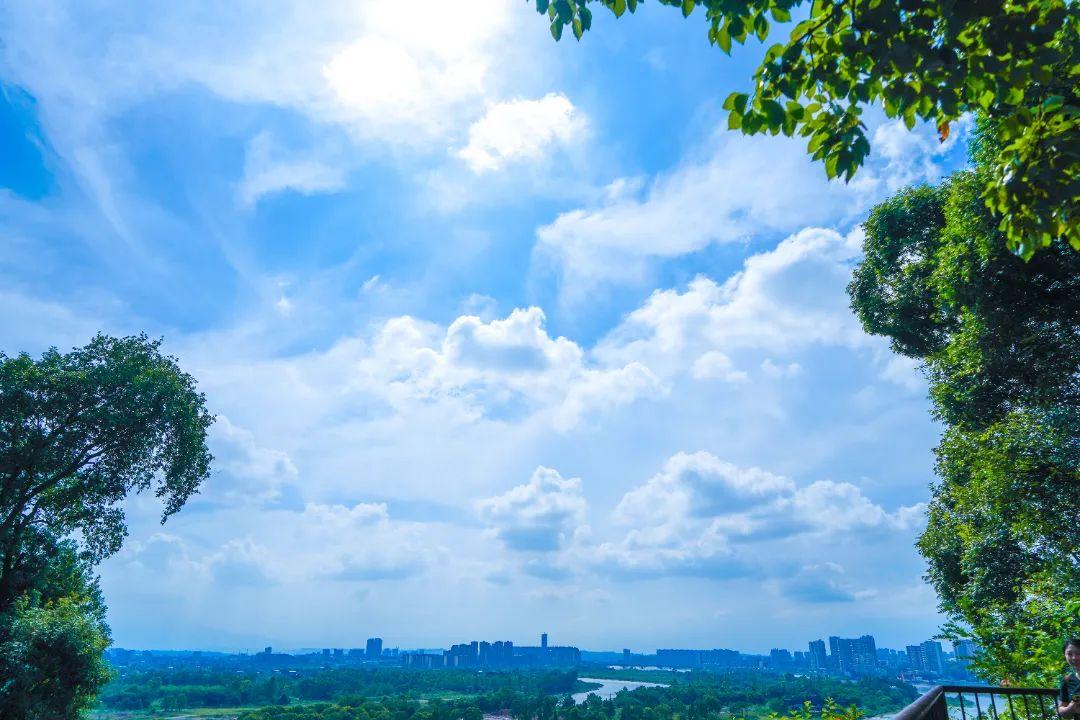 抽点时间,去乐山大佛景区感受盛夏光景-乐山大佛景区沿途讲解