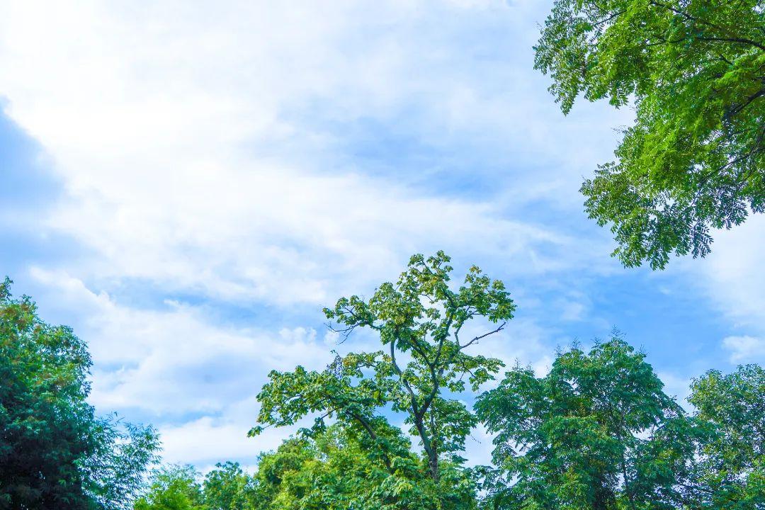 抽点时间,去乐山大佛景区感受盛夏光景-乐山大佛景区沿途讲解