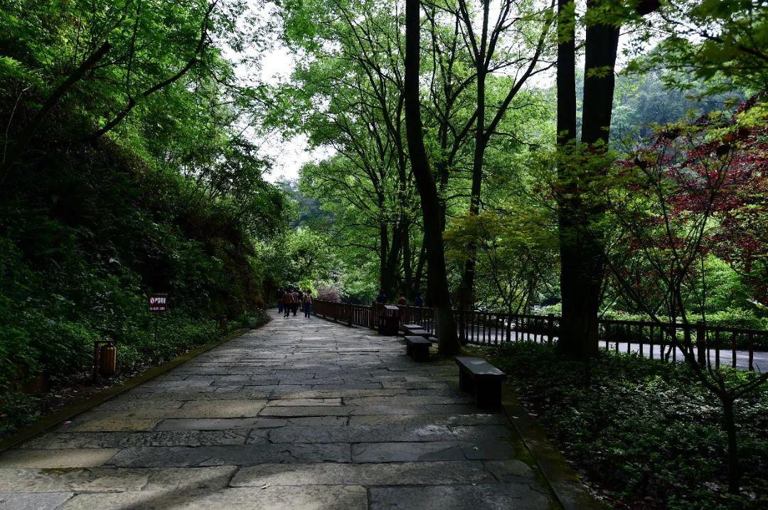 抽点时间,去乐山大佛景区感受盛夏光景-乐山大佛景区沿途讲解