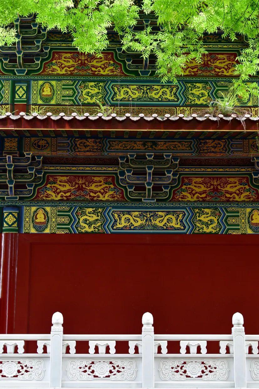 抽点时间,去乐山大佛景区感受盛夏光景-乐山大佛景区沿途讲解