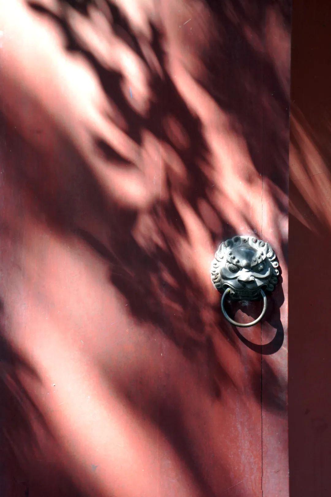 抽点时间,去乐山大佛景区感受盛夏光景-乐山大佛景区沿途讲解