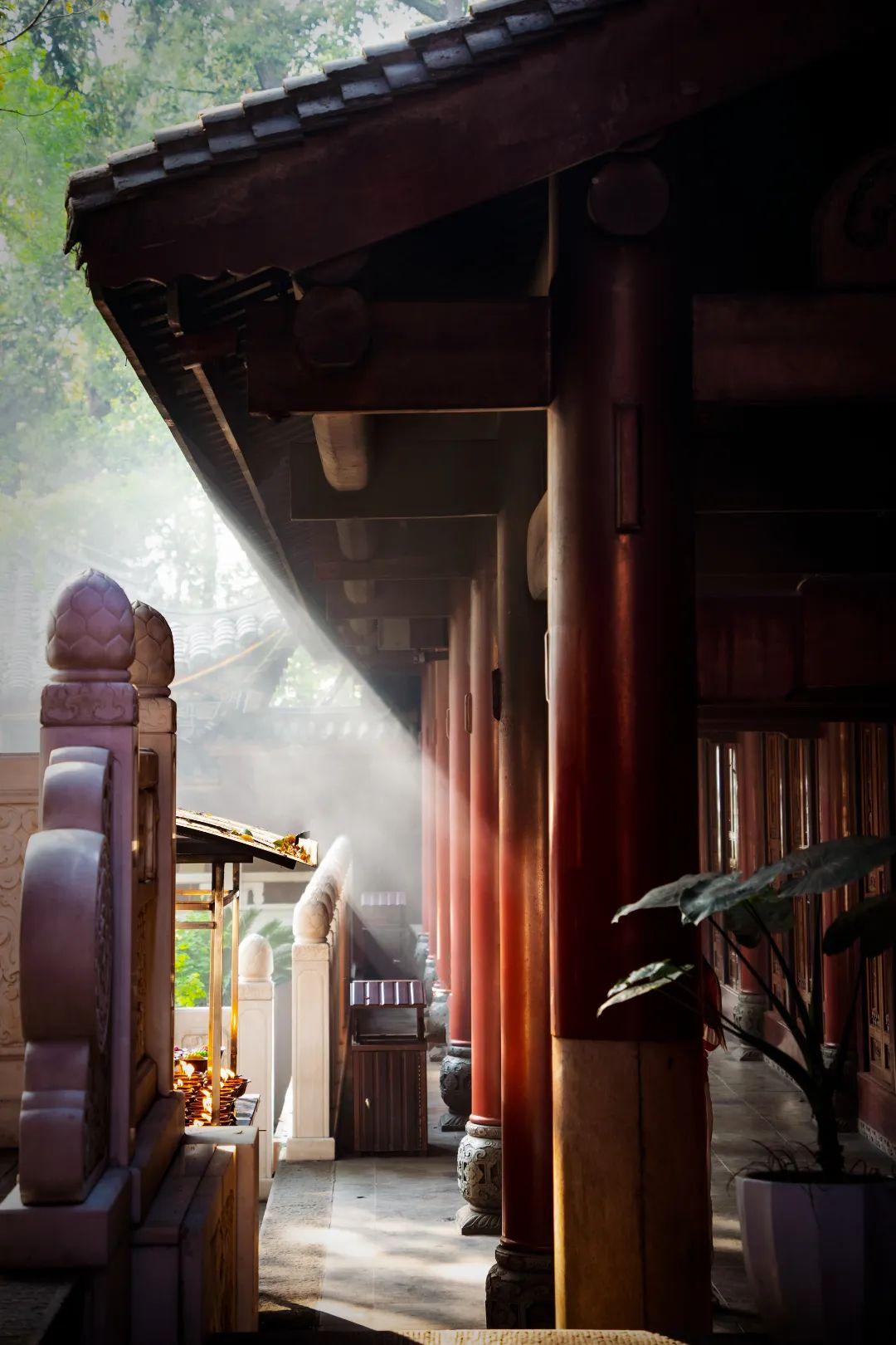 抽点时间,去乐山大佛景区感受盛夏光景-乐山大佛景区沿途讲解