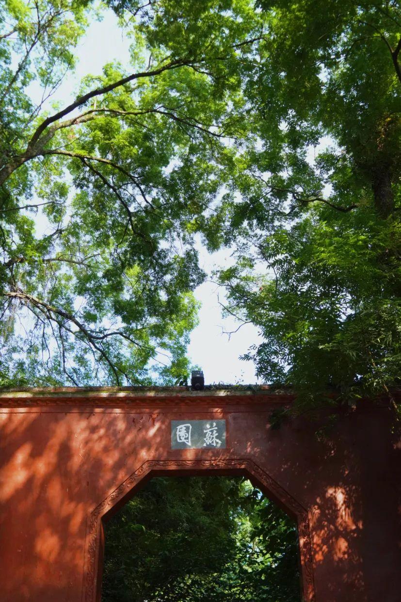 抽点时间,去乐山大佛景区感受盛夏光景-乐山大佛景区沿途讲解