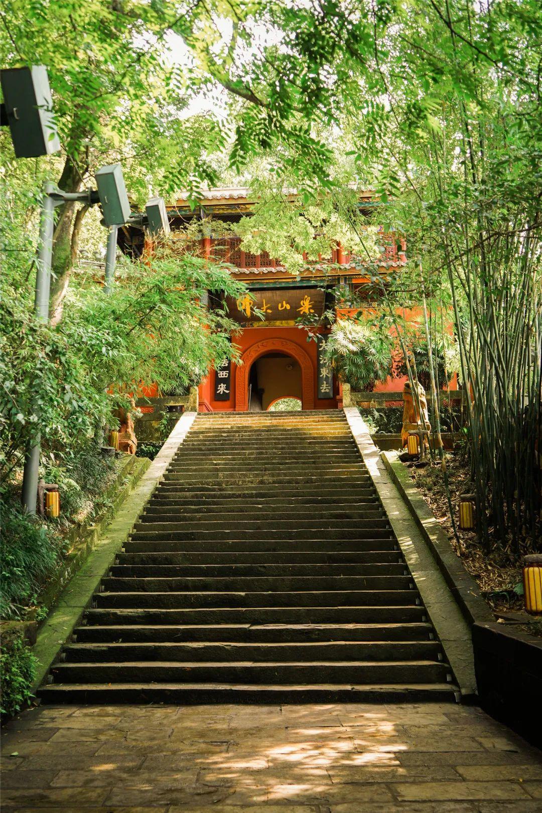 抽点时间,去乐山大佛景区感受盛夏光景-乐山大佛景区沿途讲解