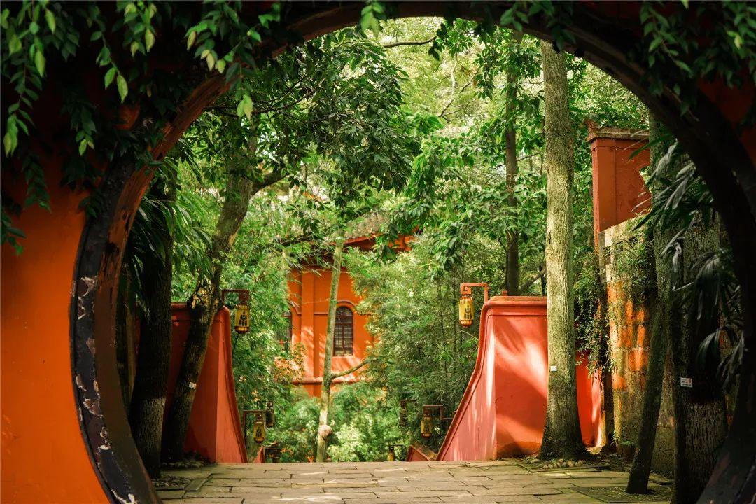 抽点时间,去乐山大佛景区感受盛夏光景-乐山大佛景区沿途讲解