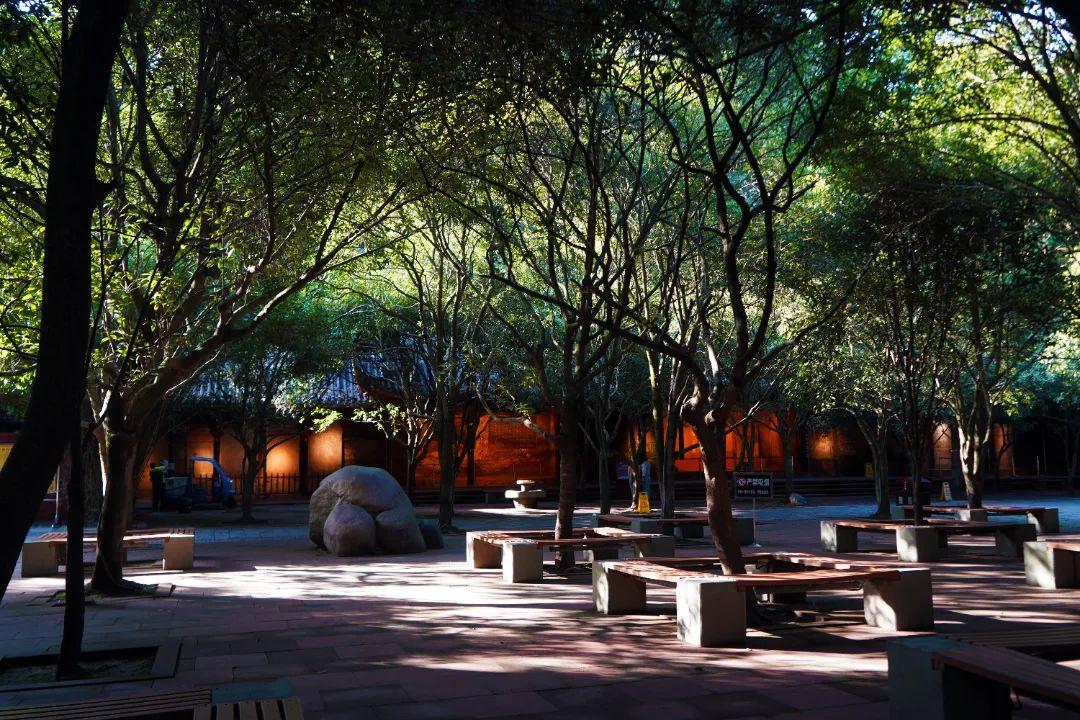 抽点时间,去乐山大佛景区感受盛夏光景-乐山大佛景区沿途讲解