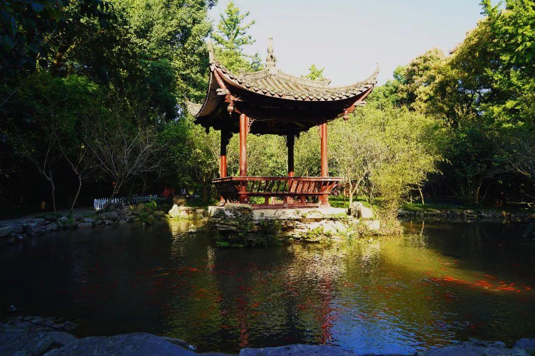 抽点时间,去乐山大佛景区感受盛夏光景-乐山大佛景区沿途讲解