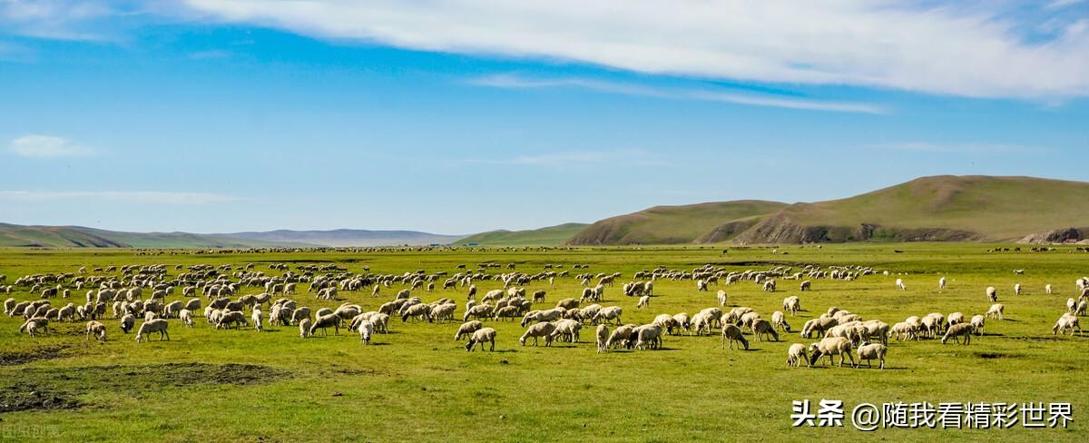内蒙古必去的五大景点,你都去过几个?-内蒙古必去的旅游景点
