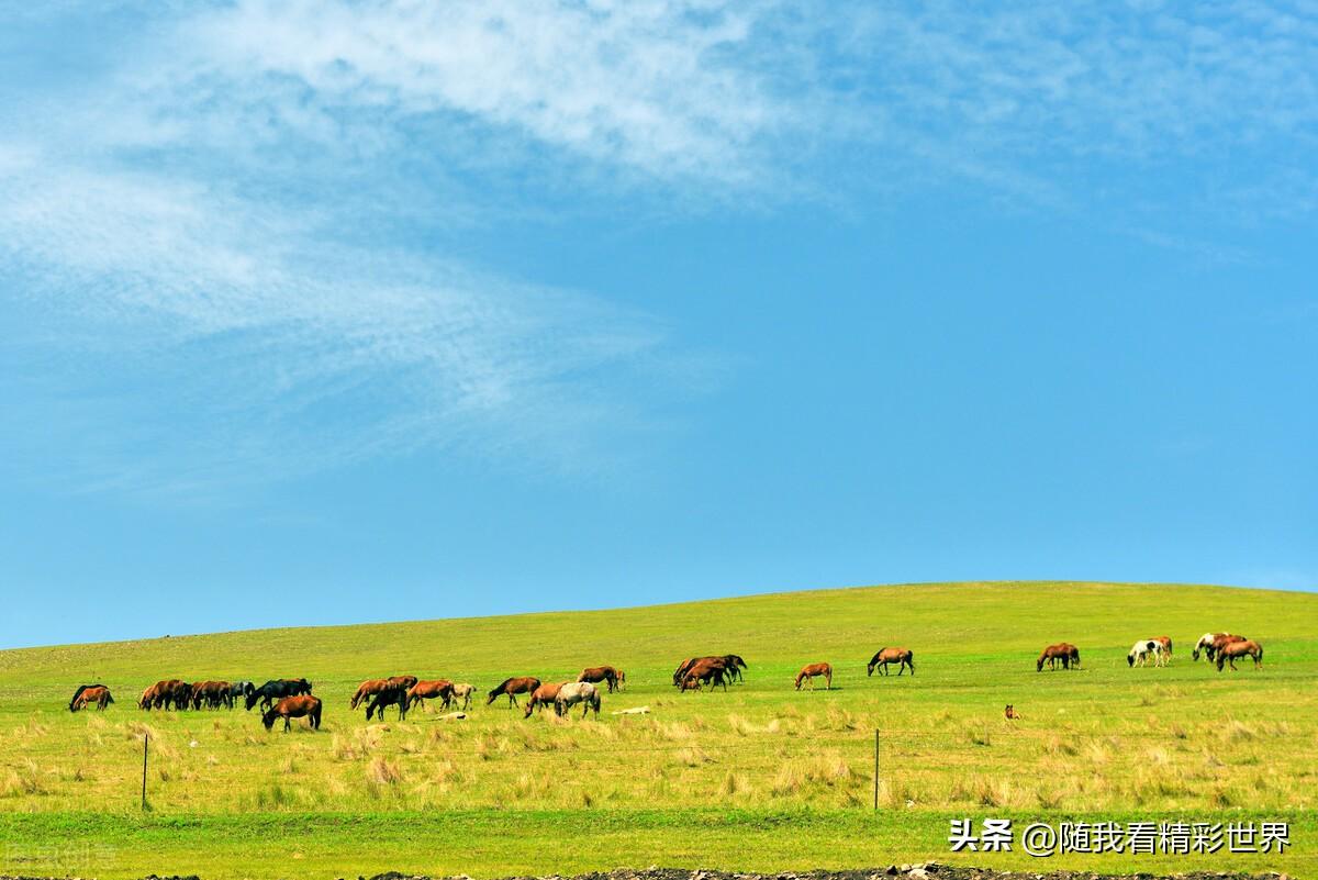 内蒙古必去的五大景点,你都去过几个?-内蒙古必去的旅游景点