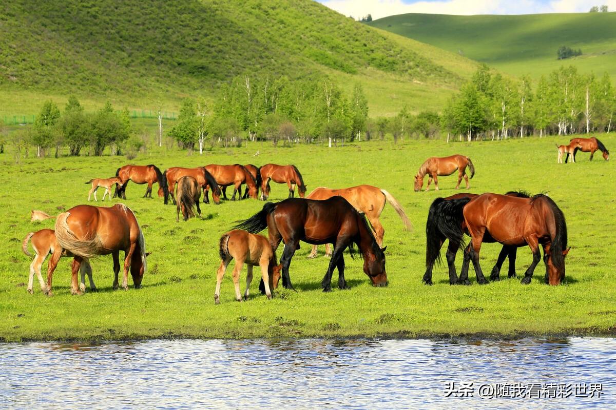 内蒙古必去的五大景点,你都去过几个?-内蒙古必去的旅游景点