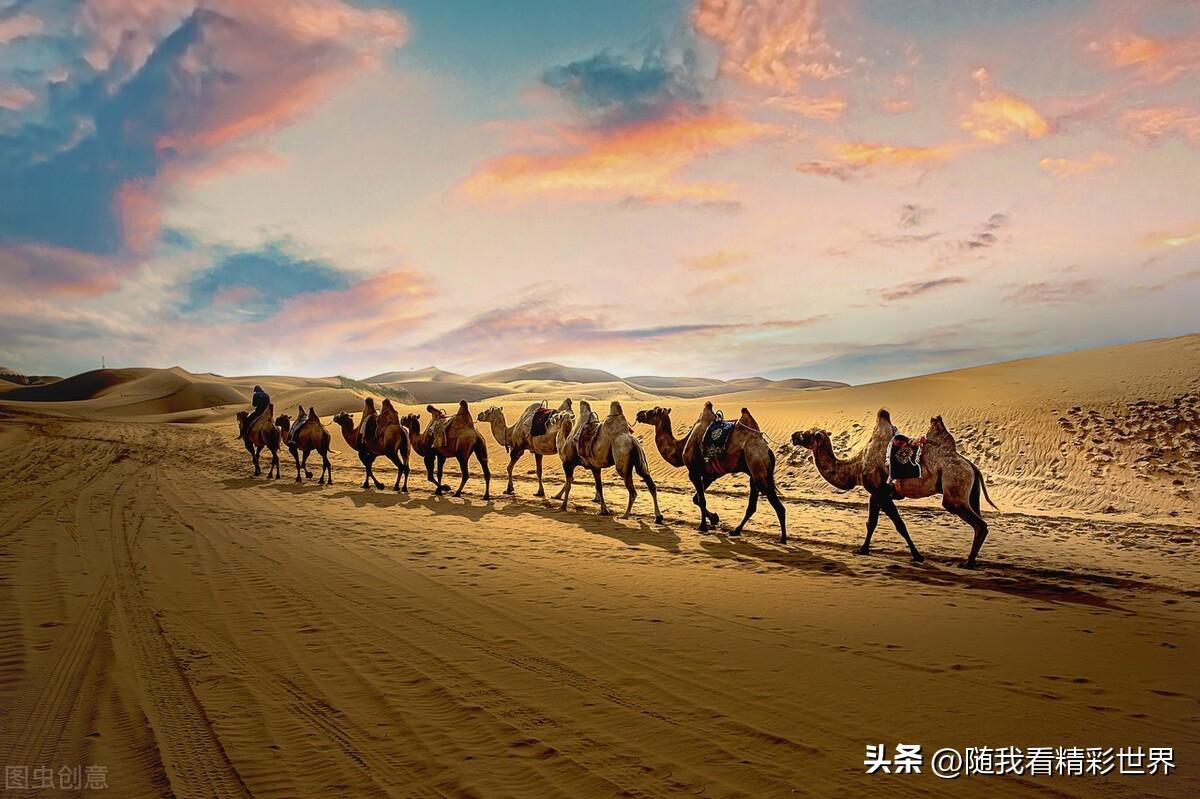 内蒙古必去的五大景点,你都去过几个?-内蒙古必去的旅游景点